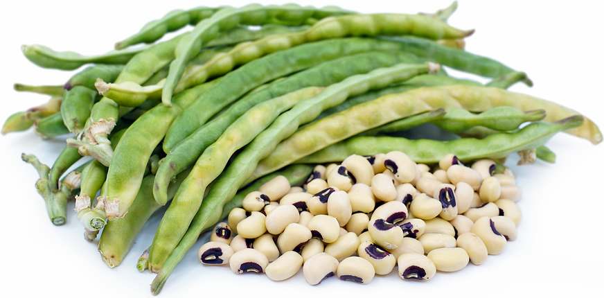 Lobia Beans: Nutrition, Benefits, and Recipe Complete Guide
