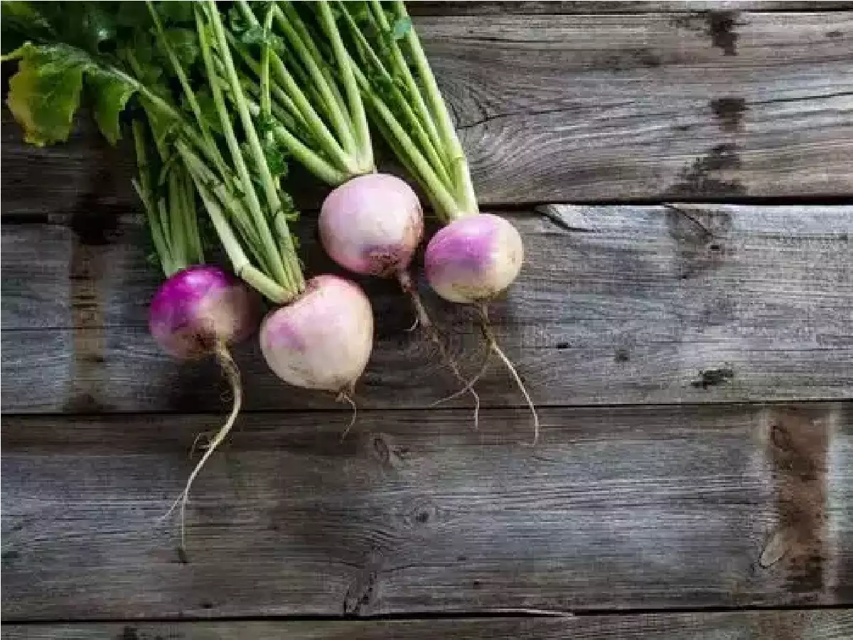 Know Turnip- Nutritious Diet That You Must Use