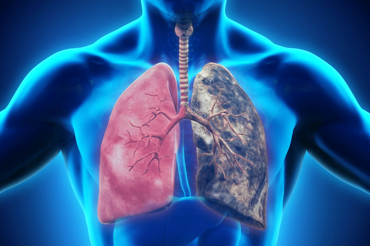 Lung Cleanse Treatment in Ayurveda: Breathwork Techniques!