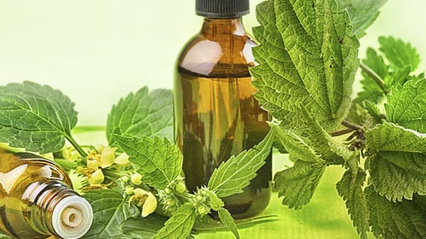 Top 10 Herbal Brands