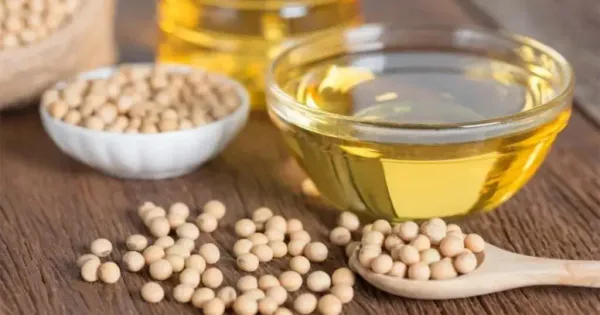 Is Soybean Oil Good for Health?