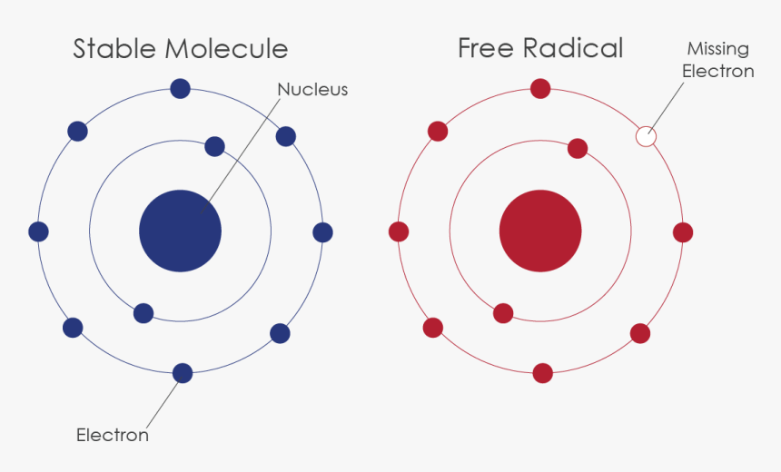 free radicals mechanism